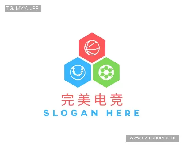 介绍完美对战平台官网